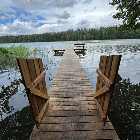 Forest Haven *