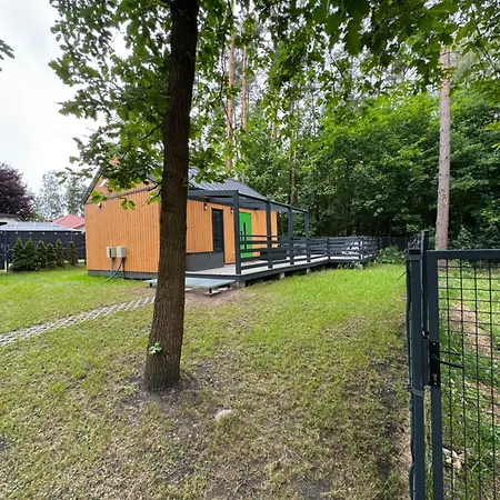 Forest Haven *